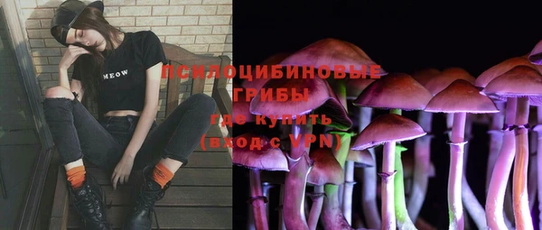 прущий лед Арсеньев