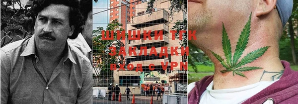 прущий лед Арсеньев