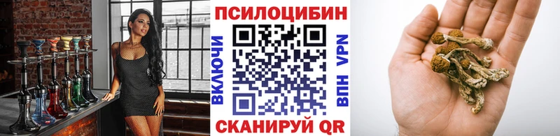 OMG ТОР  сколько стоит  Балтийск  Галлюциногенные грибы MAGIC MUSHROOMS 